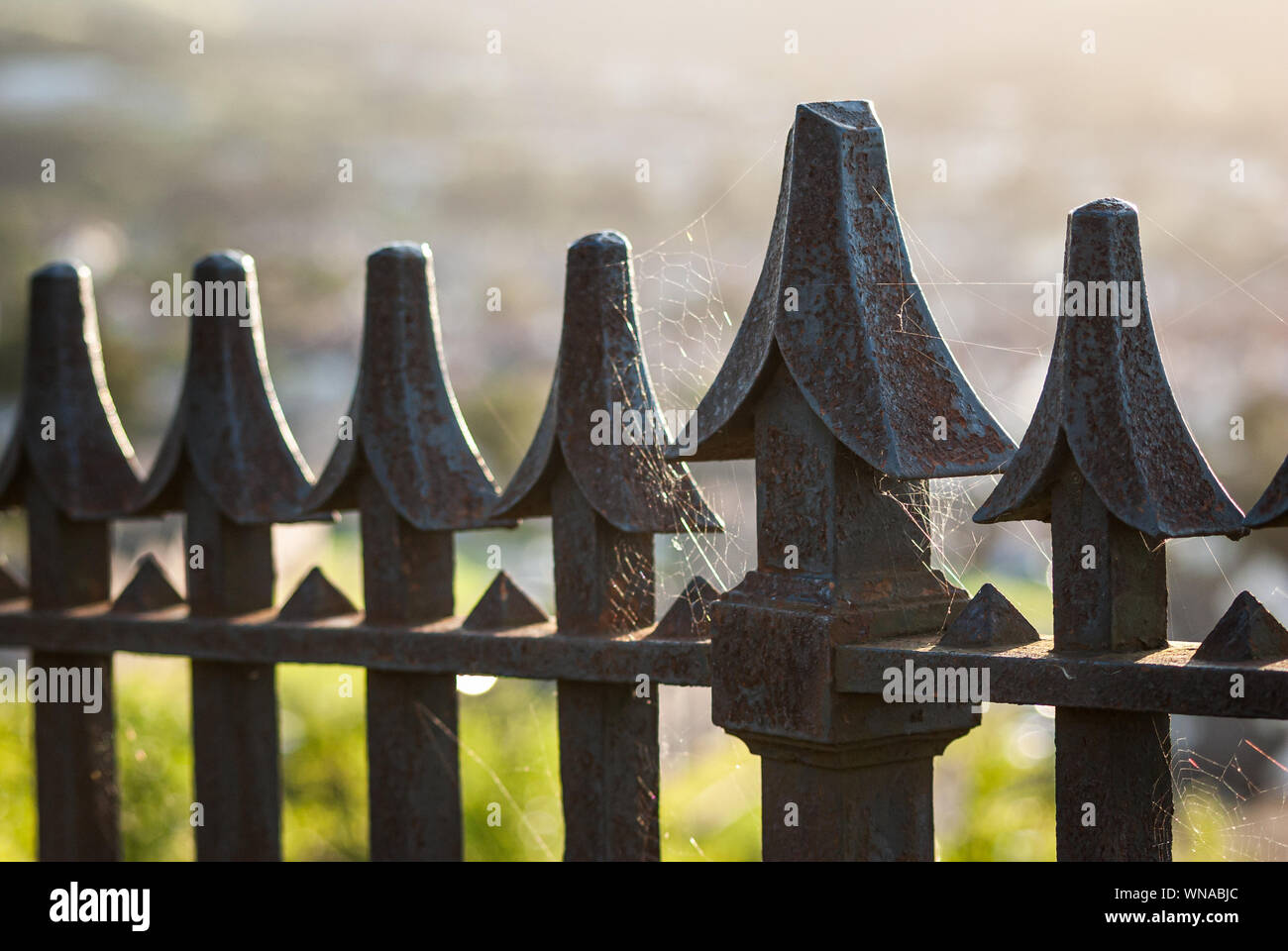 Rusty iron railings covered in cobwebs lit by contre-jour lighting Stock Photo
