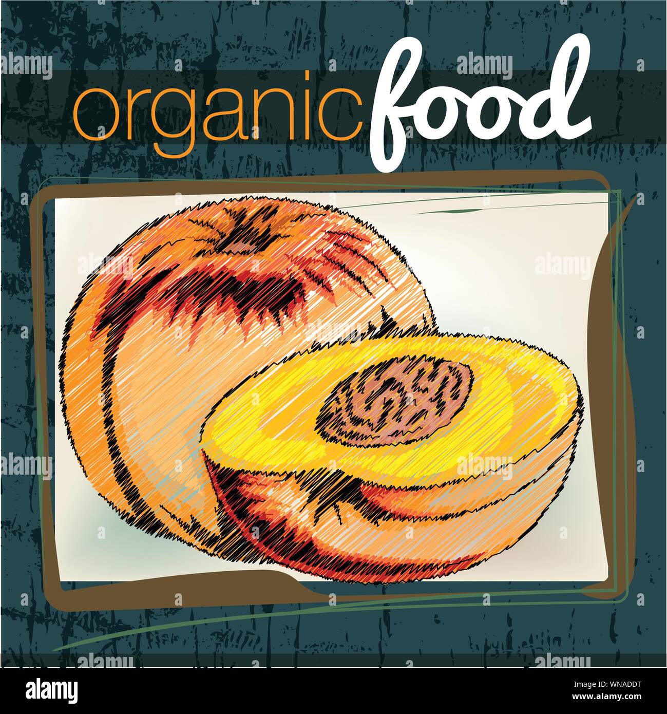 Organic Food illustration Stock Vector Image & Art - Alamy