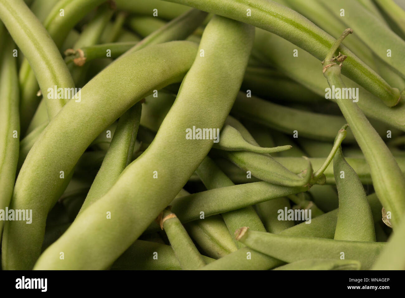 Wax beans hires stock photography and images Alamy
