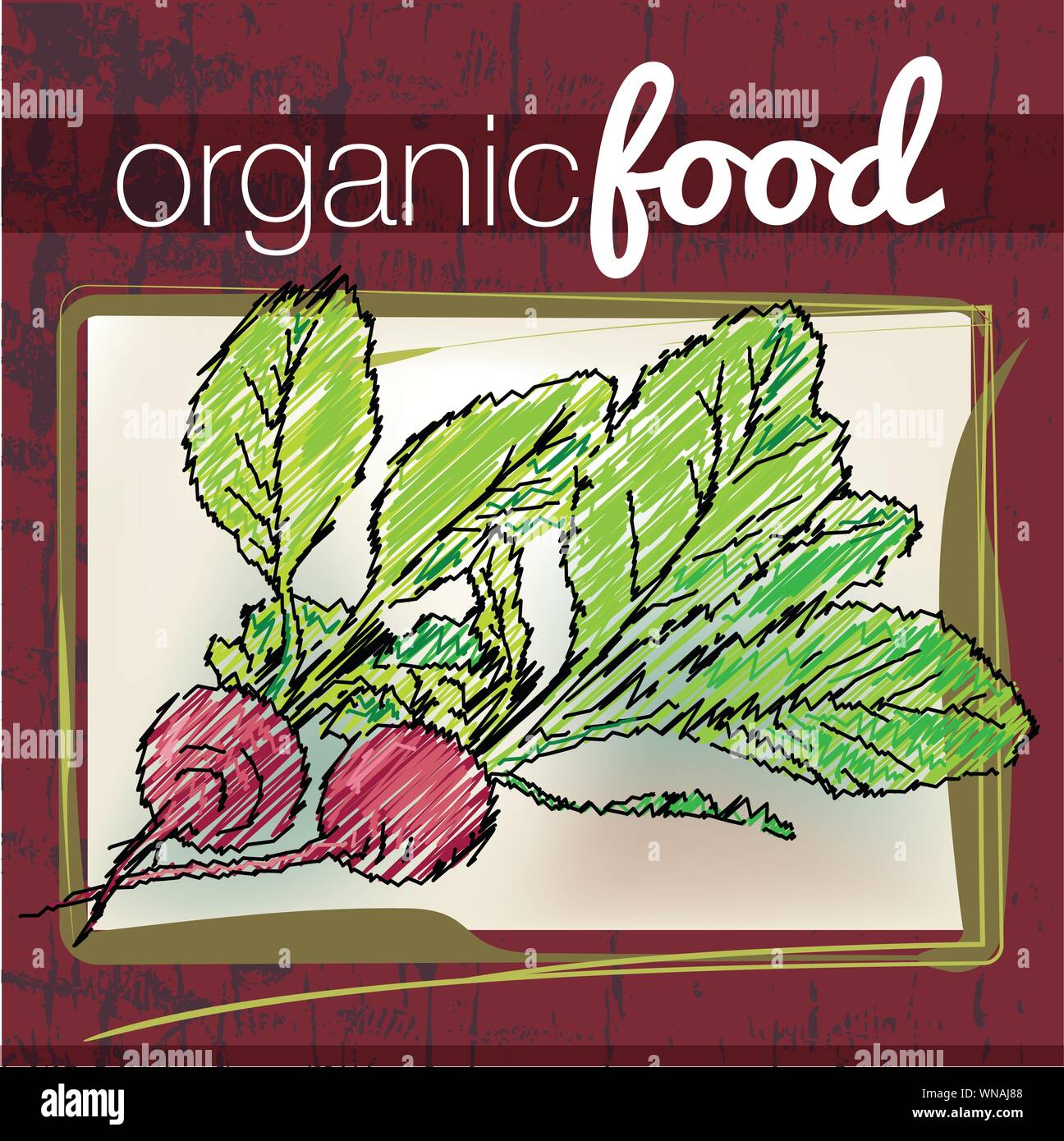 Organic Food illustration Stock Vector Image & Art - Alamy