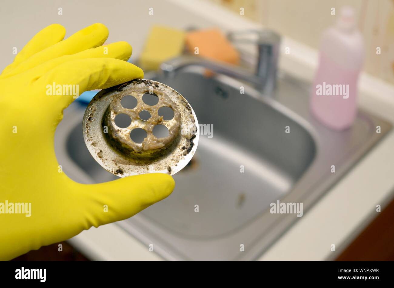 Cleaner in rubber gloves shows waste in the plughole protector of a