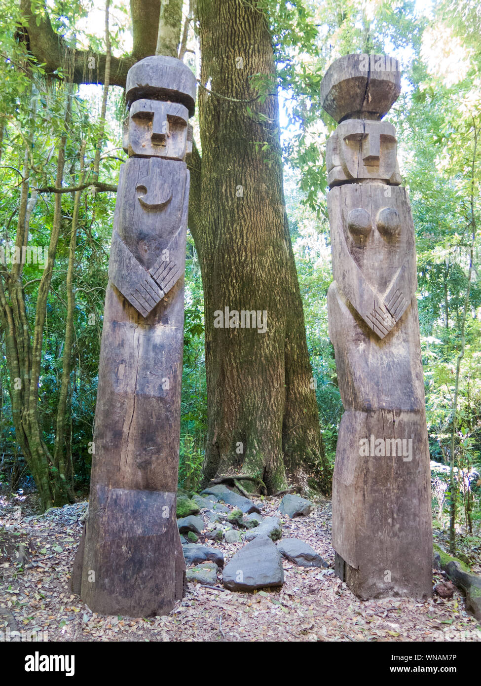 Wooden statue, in the middle of the Huilo Huilo Biological Reserve, regressing animals and Mapuche mystical characters from southern Chile. Los Rios R Stock Photo
