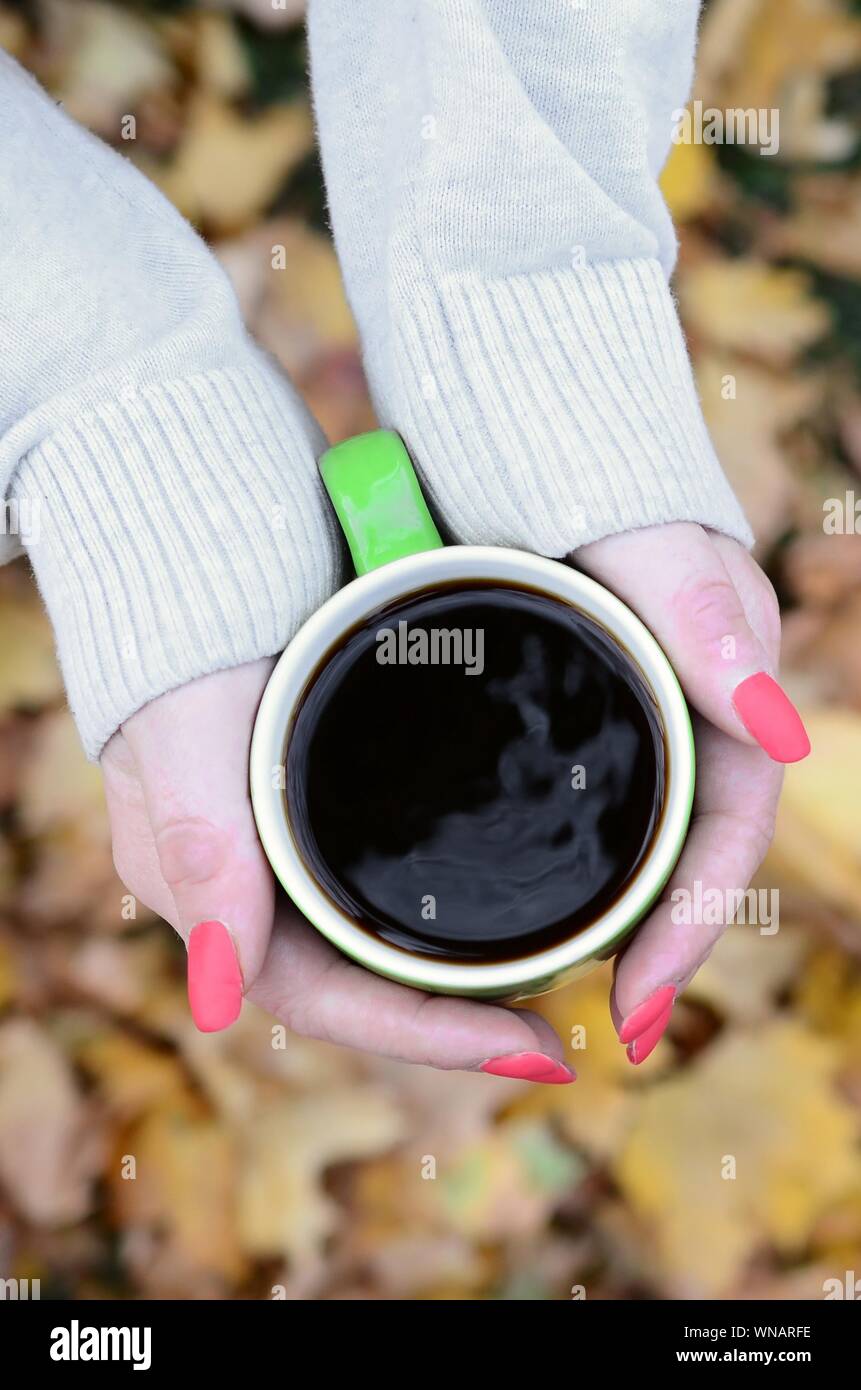 Woman wearing white sweater in their hands holding a green coffee cup ...