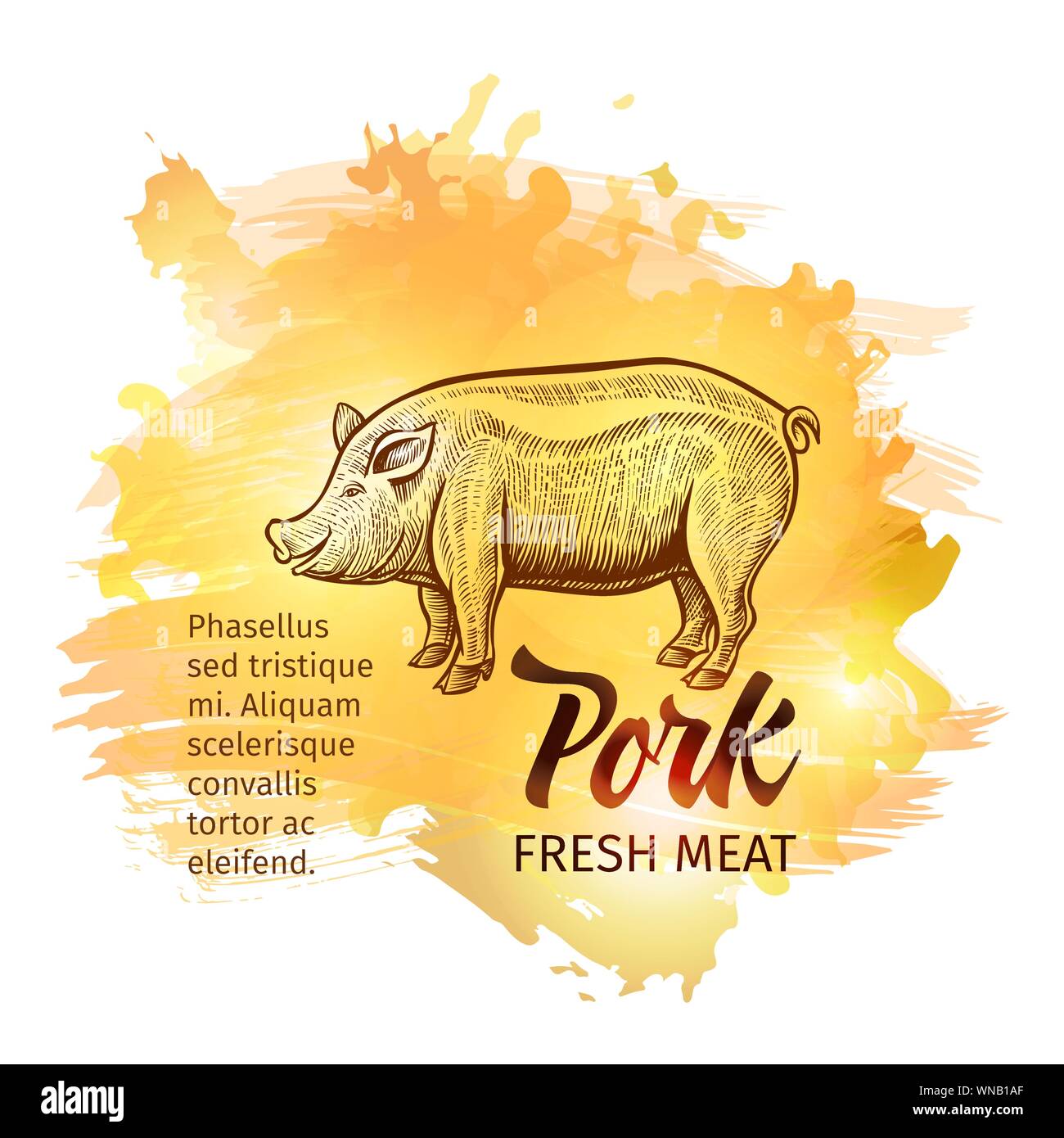 Hand drawn sketch Pig. Pork Fresh Meat handdrawn background for restaurant menu design. Vector vintage illustration with yellow splashes Stock Vector