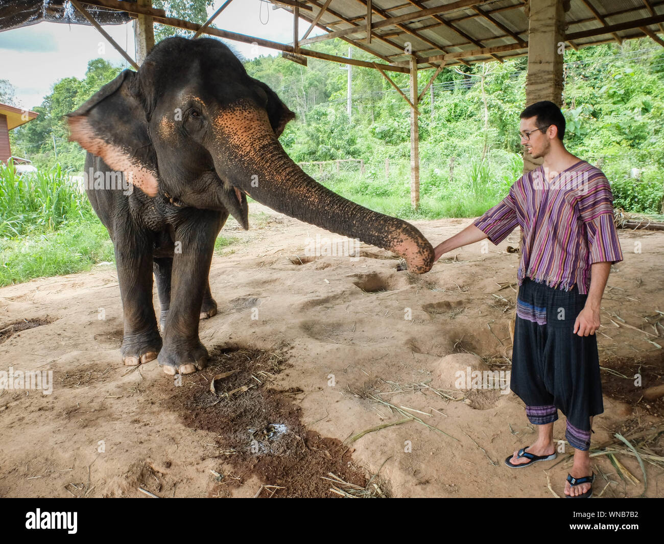 Man Holding Elephant Trunk While Standing At Shed Stock Photo
