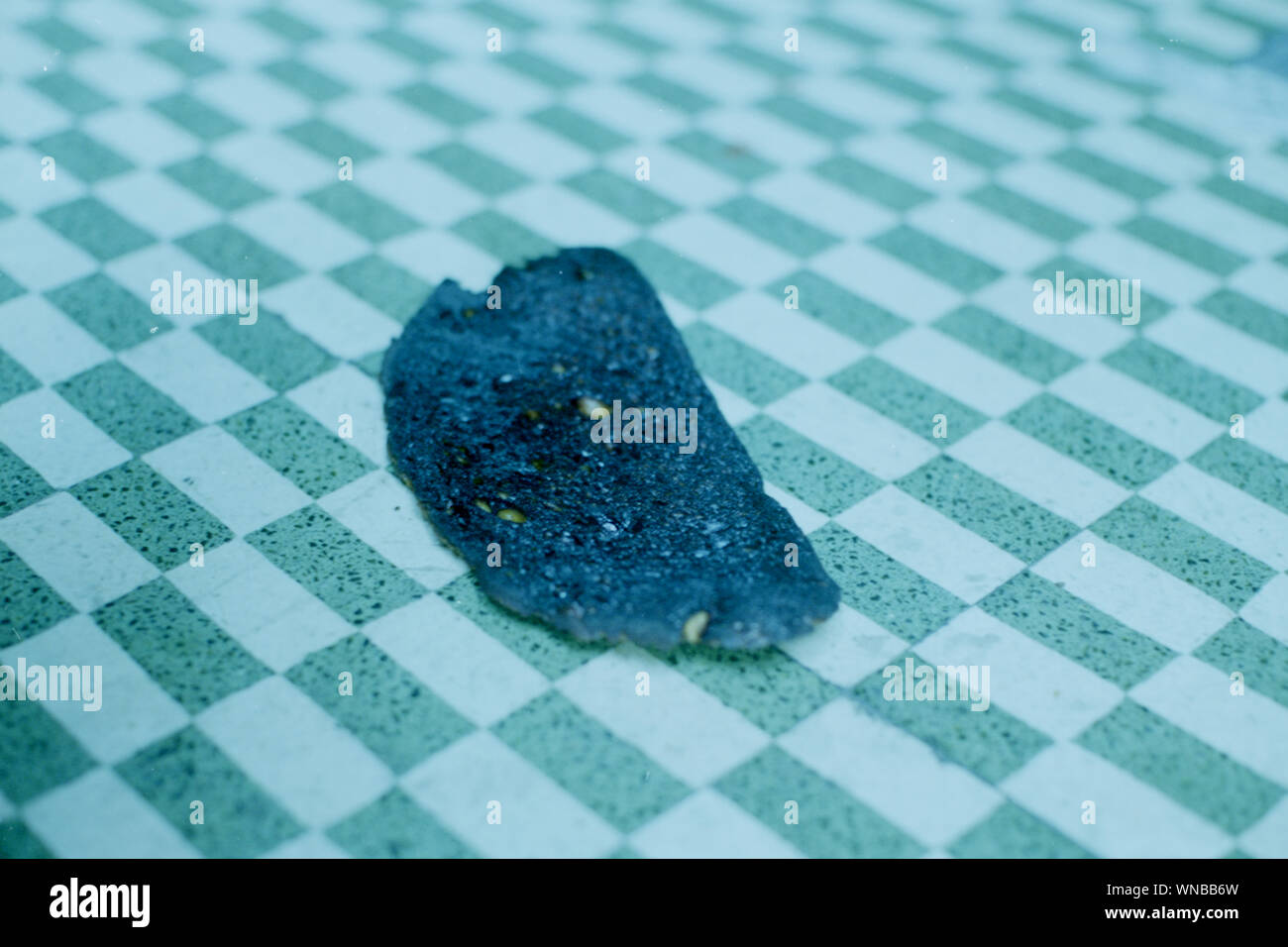Sponge Pool High Resolution Stock Photography and Images - Alamy
