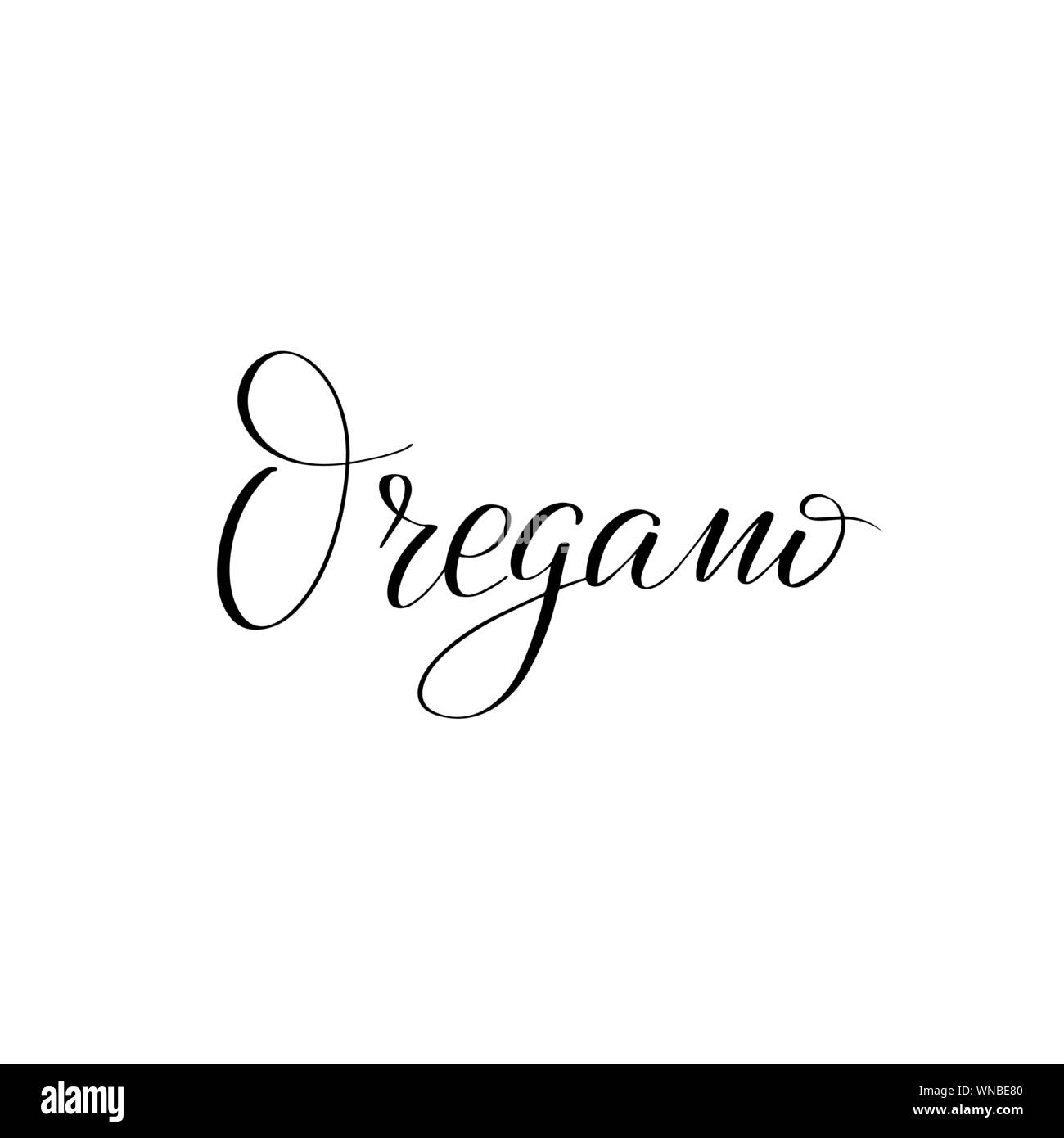 Inspirational handwritten brush lettering . Vector calligraphy illustration Stock Vector
