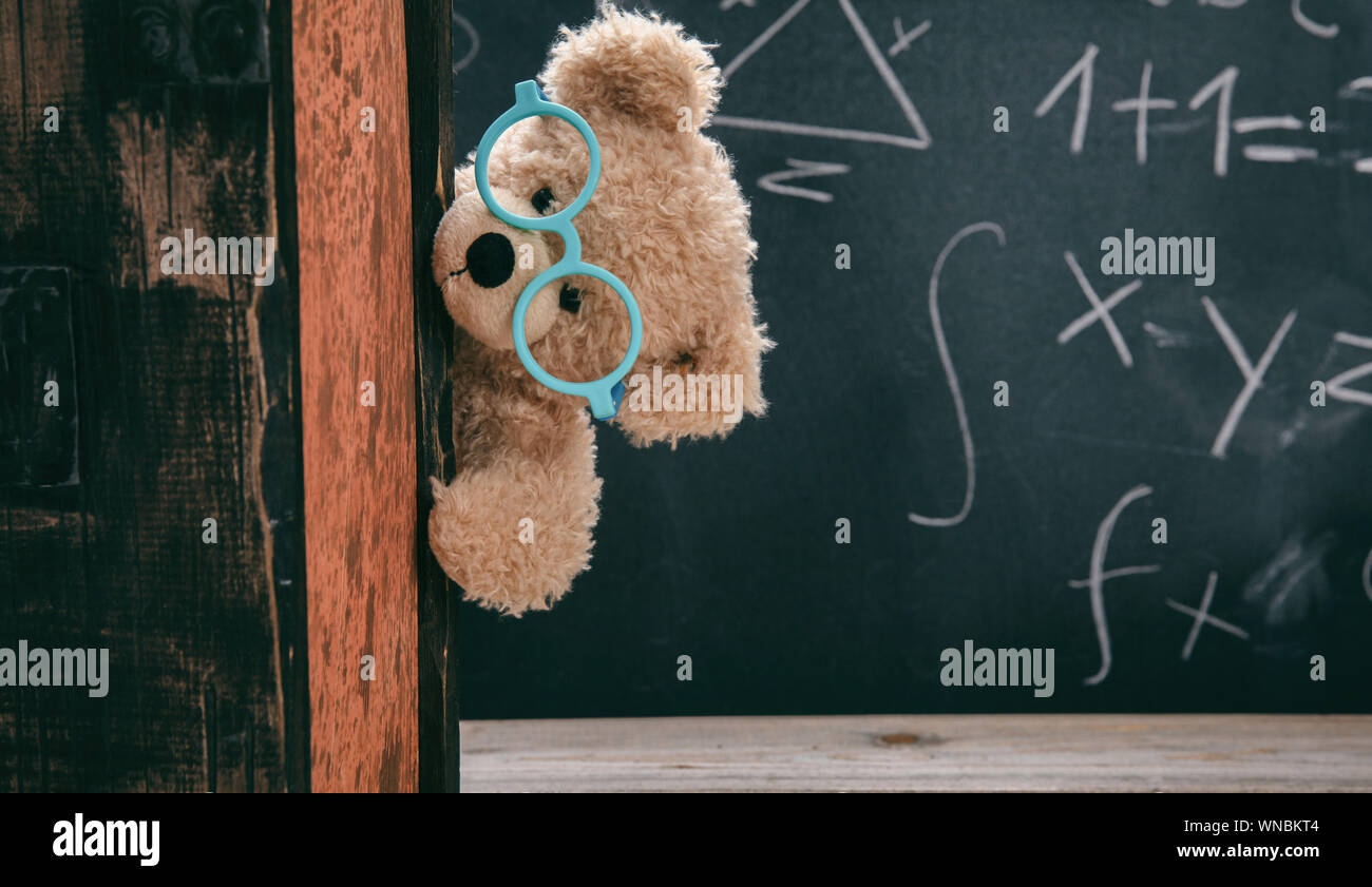 Back to school, maths concept. Smart kid in class, cute teddy wearing blue eyeglasses and math symbols on blackboard Stock Photo
