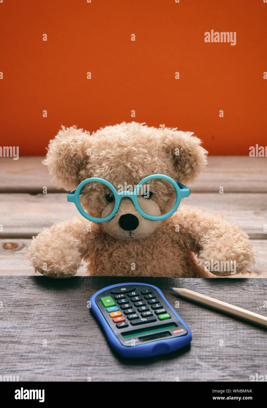 Back to school, Maths concept. Smart kid cute teddy wearing blue eyeglasses working with a calculator on his desk, orange color background Stock Photo
