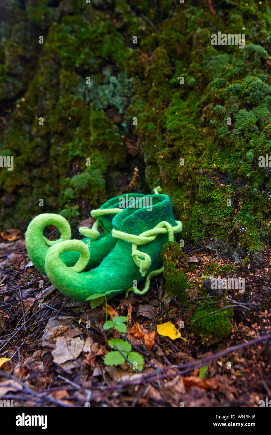 Fairy creature elf or dwarf will leave his shoes near the entrance to his house in an old, moss-covered tree Stock Photo