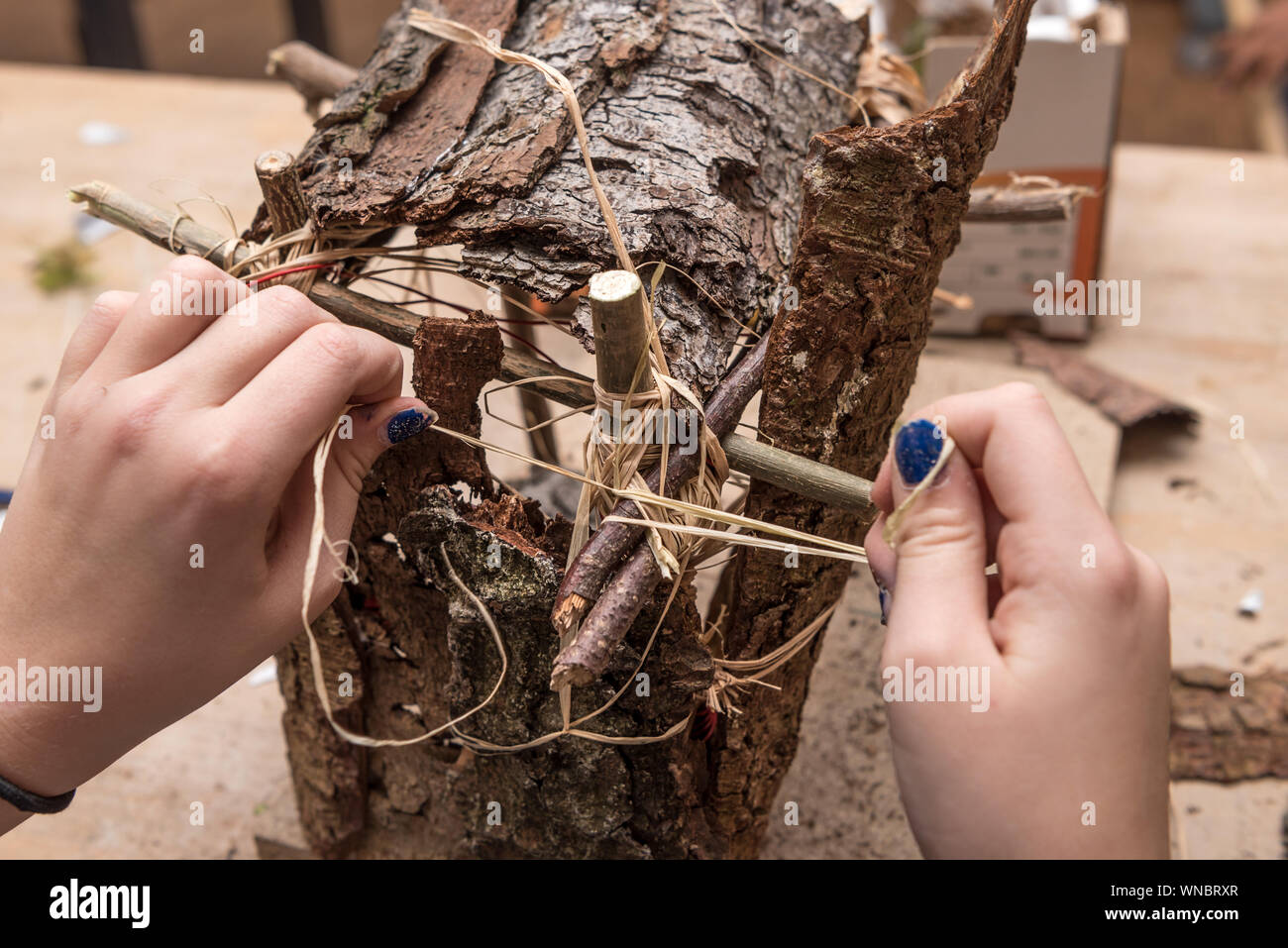 Child Is Making A Crib On Branches And Moss For Christmas