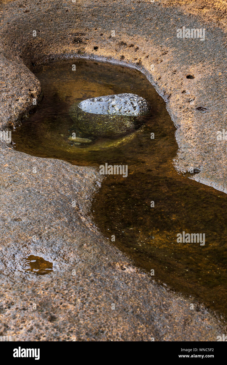 Rockpool at Montana Amarilla, Costa Silencio, early morning, Tenerife, Canary Islands, Spain Stock Photo