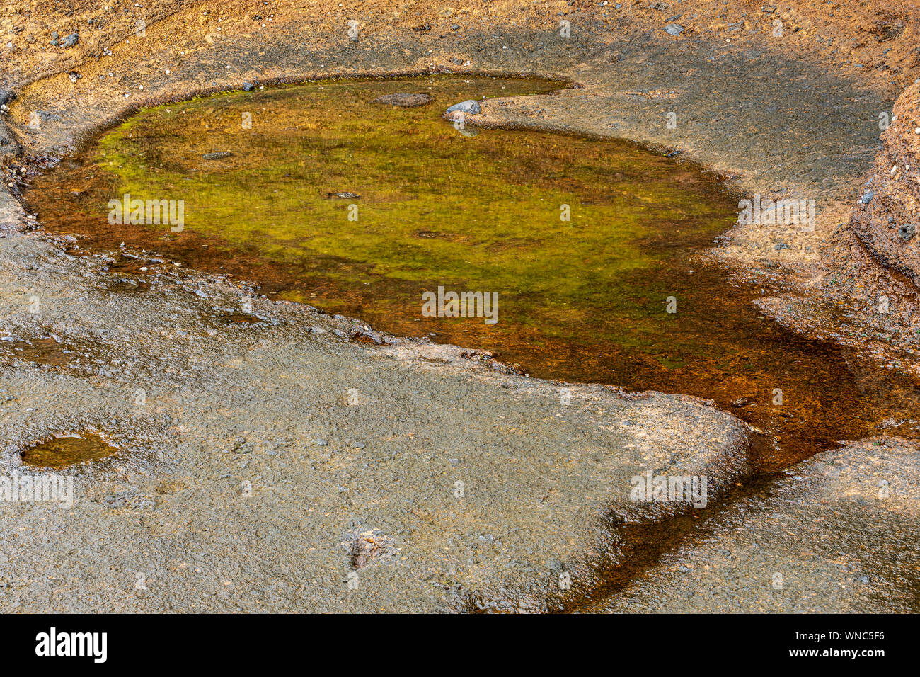 Rockpool at Montana Amarilla, Costa Silencio, early morning, Tenerife ...