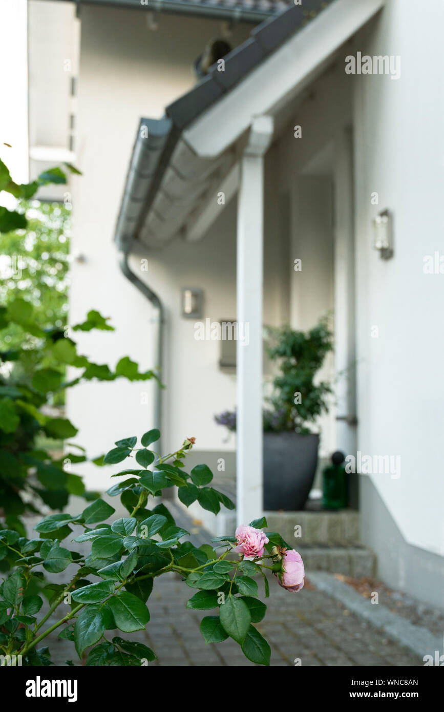 A house with pitched roof and 2 gables has a covered entrance. In the foreground roses are blooming. Stock Photo