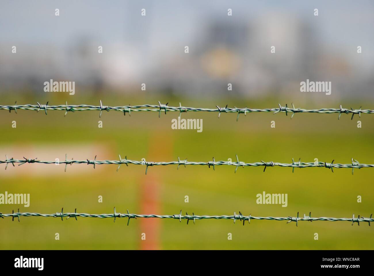 Closeup Of Barbed Wires Stock Photo Alamy