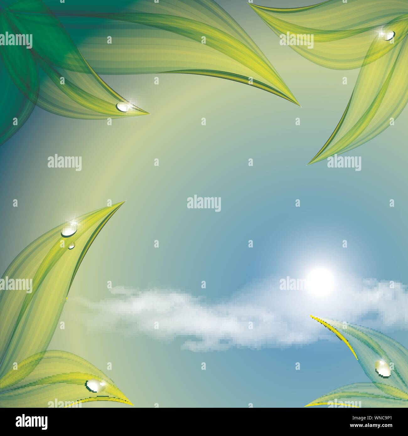Vector abstract summer time background Stock Vector Image & Art - Alamy