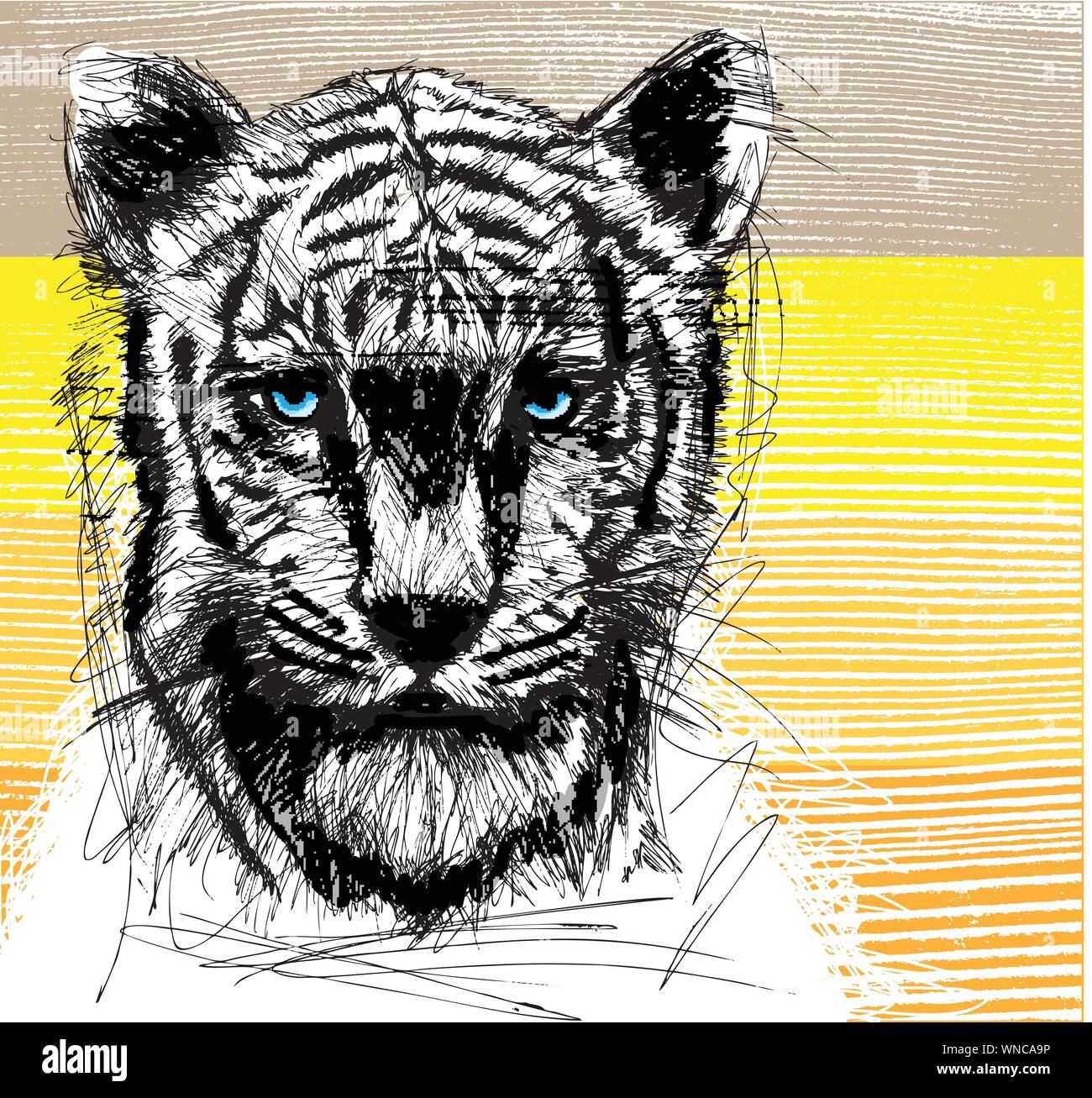 Stock Art Drawing of a White Bengal Tiger