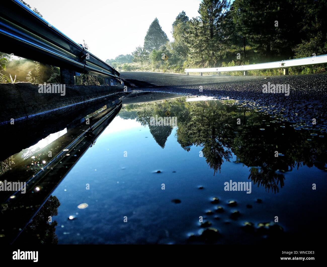 Rugby ball in air hires stock photography and images Alamy
