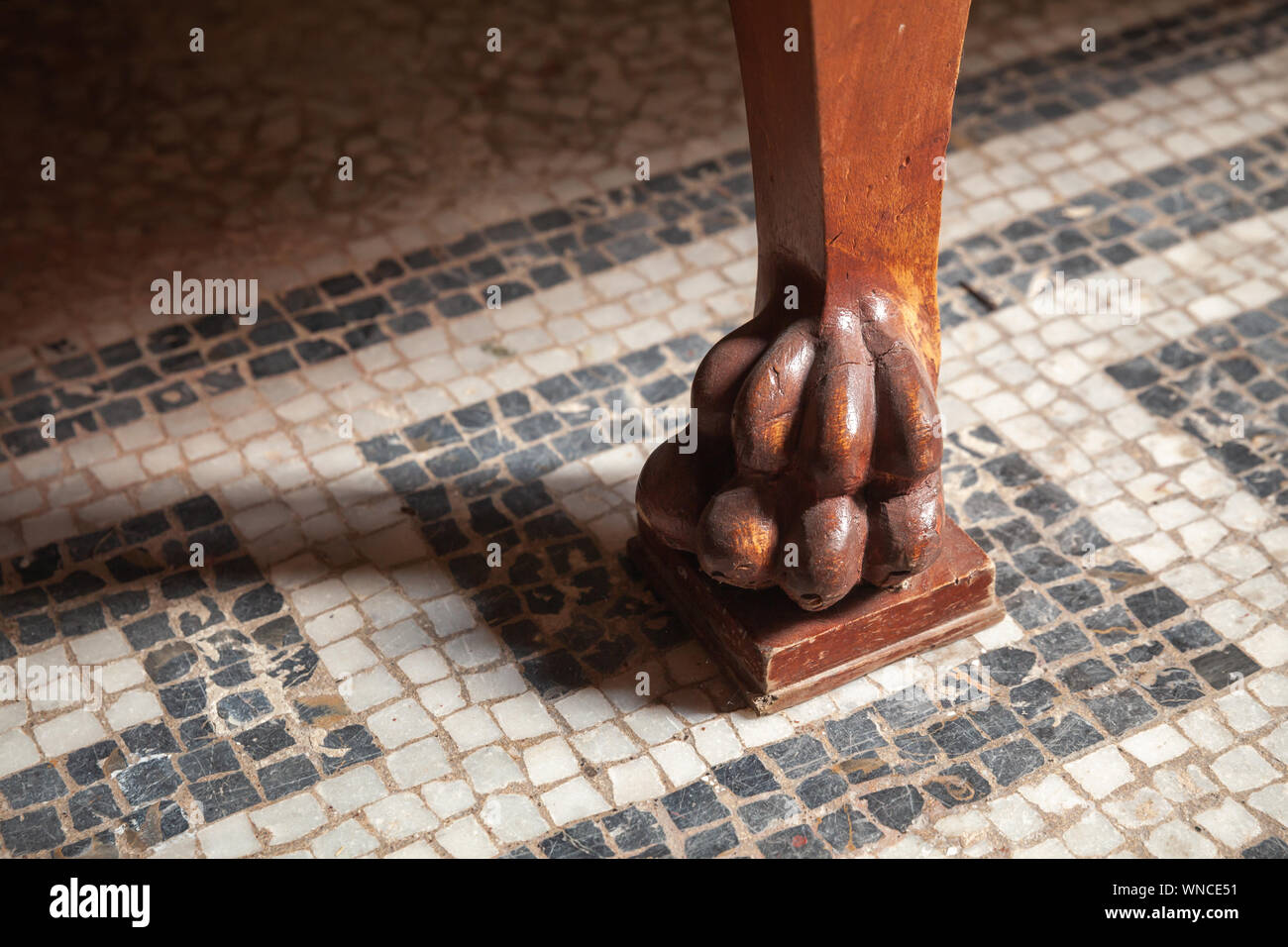 Fragment of a luxury vintage wooden table leg with lion paw carving decoration Stock Photo