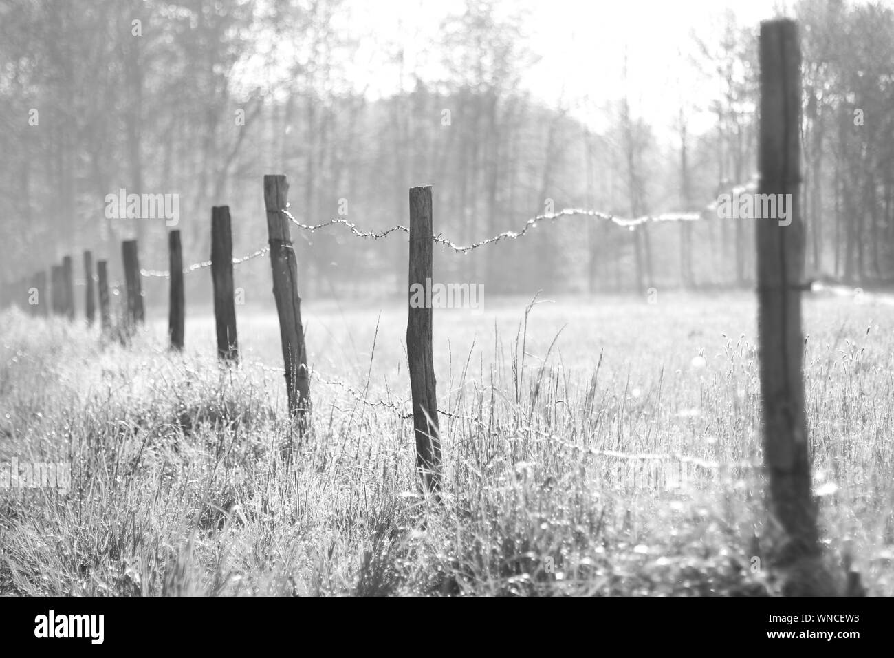 Barbed wire wooden fence Black and White Stock Photos & Images - Alamy