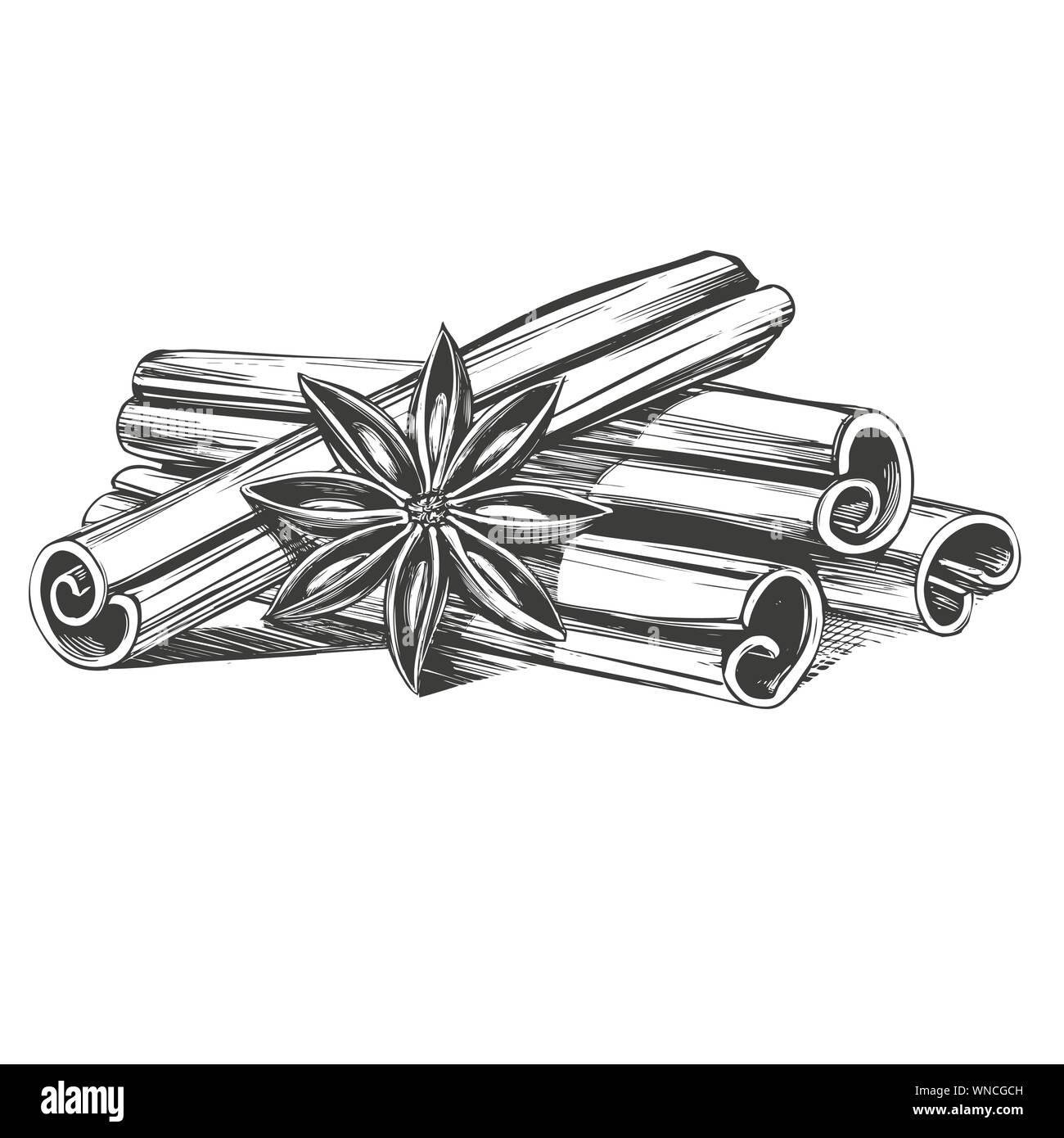 23873 Cinnamon Hand Drawn Images Stock Photos  Vectors  Shutterstock