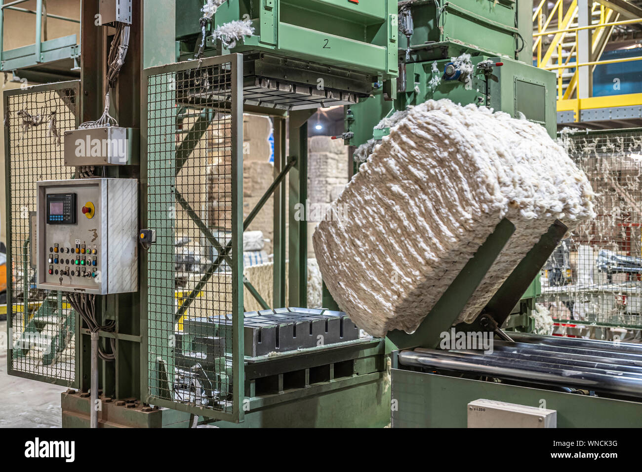 Wool Scouring Plant High Resolution Stock Photography and Images Alamy