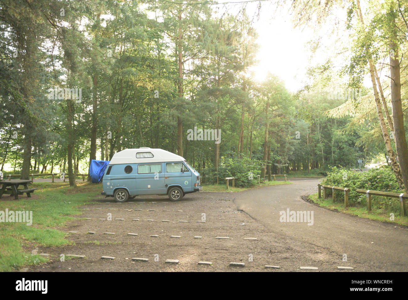 A blue Camper Van sits at sunset against a bright green forest with lush orange sunlight streaming in Stock Photo