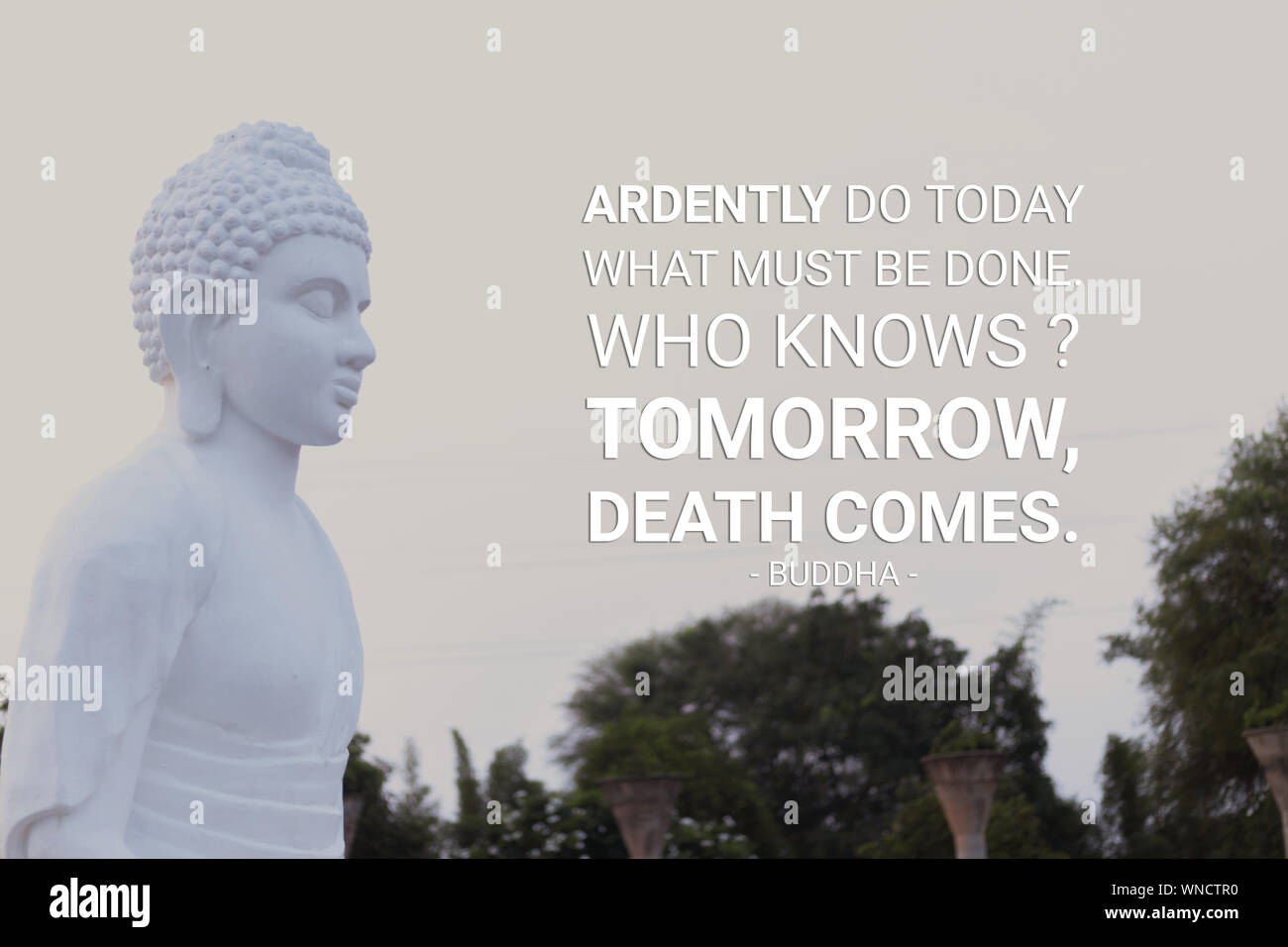Ardently do today what must be done who knows tomorrow death comes - buddha (2) Stock Photo