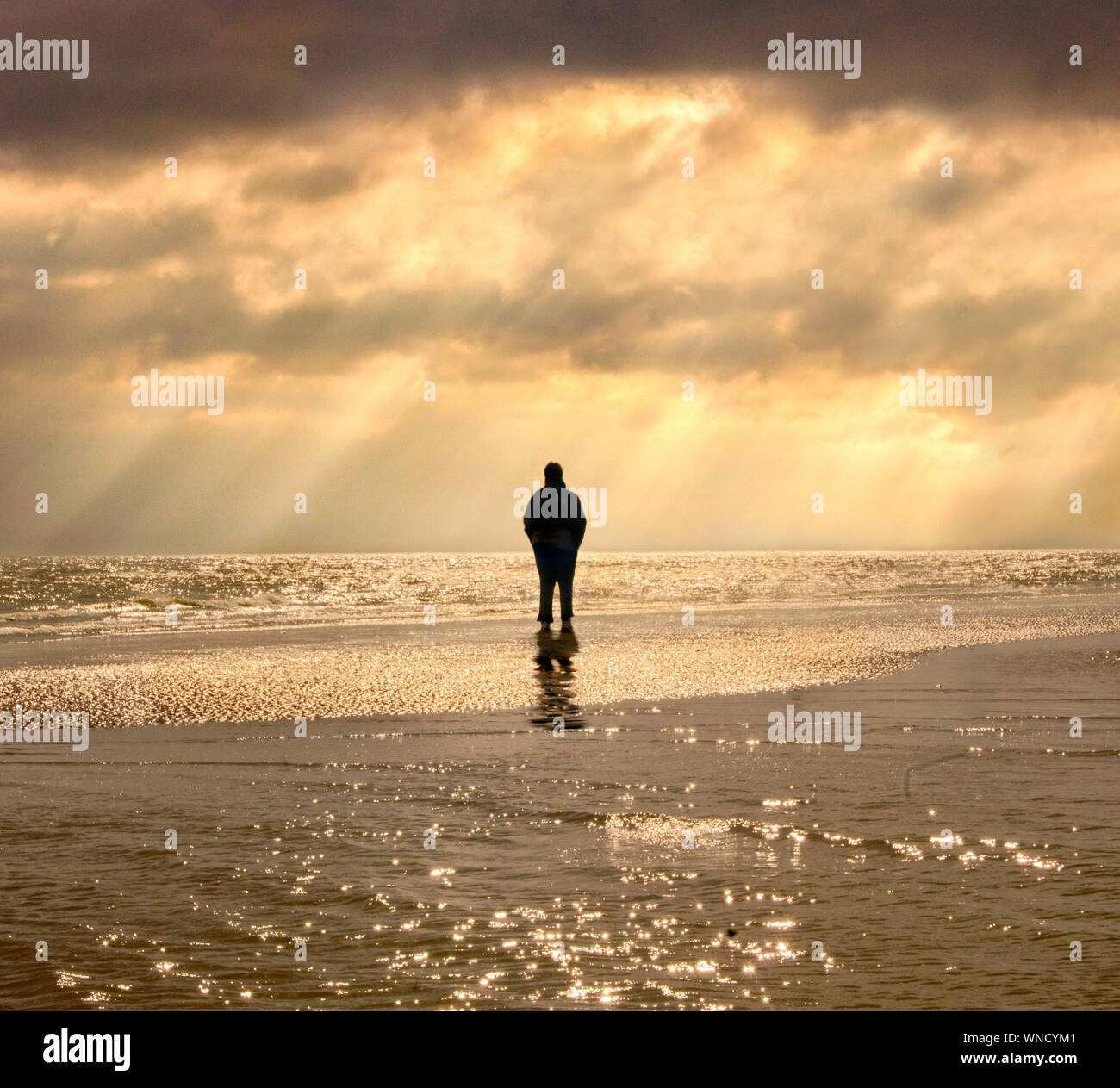 Stading Alone on the Beach Stock Photo