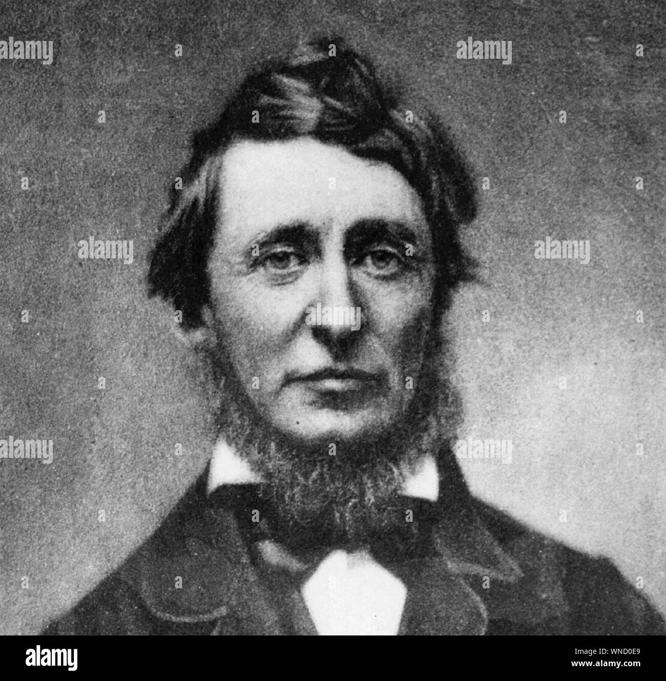 HENRY DAVID THOREAU (1817-1862) American poet Stock Photo