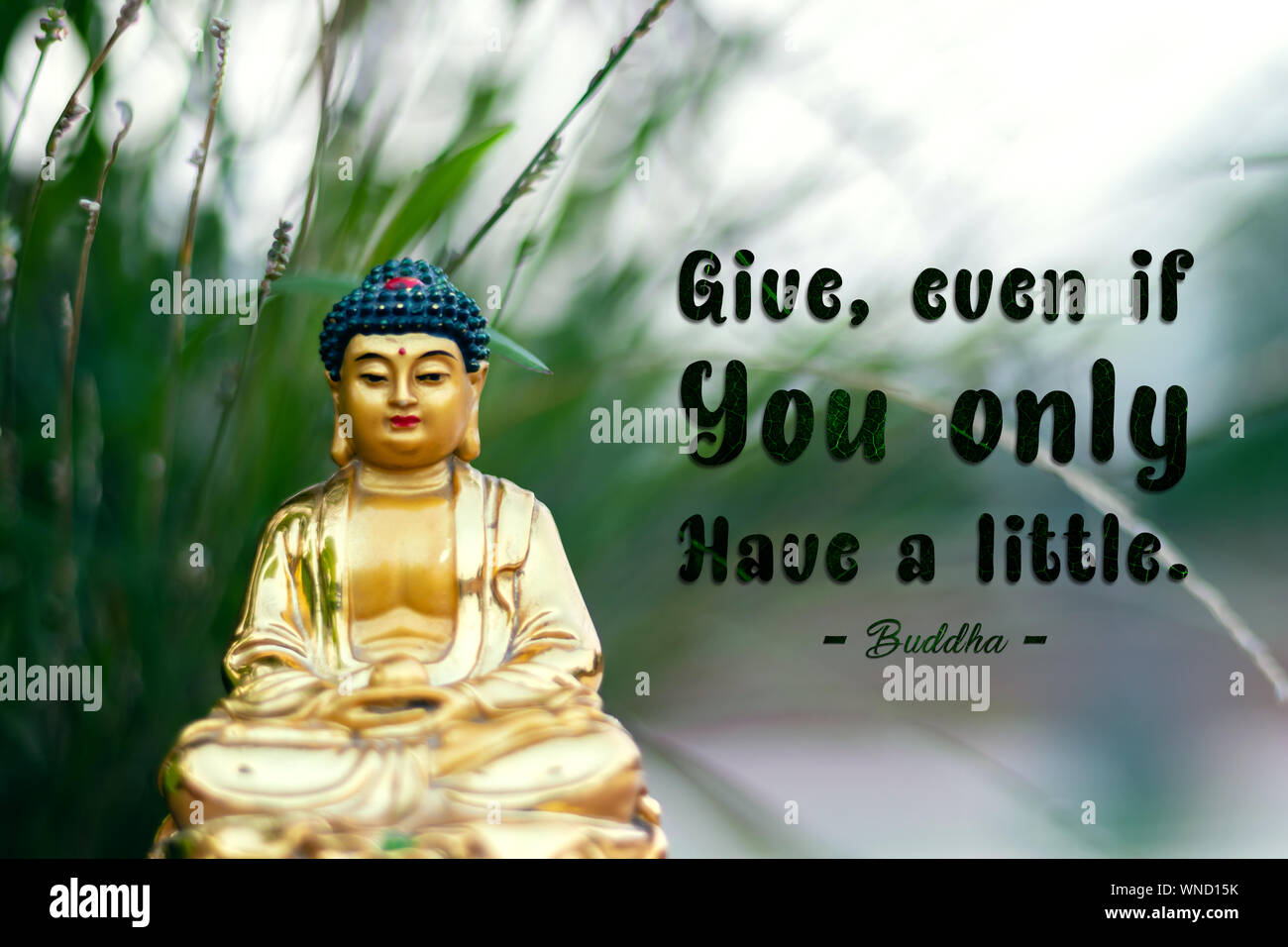 little buddha just eat