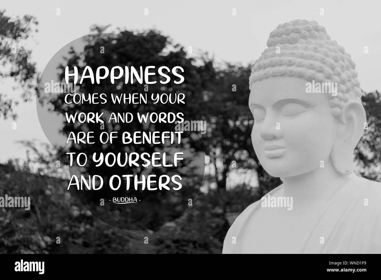 Happiness comes when your work and words are of benefit to yourself and others - buddha Stock Photo