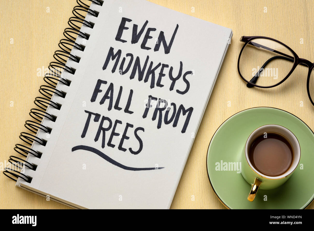 Even Monkays Fall From Trees Japanese Proverb Everybody Makes