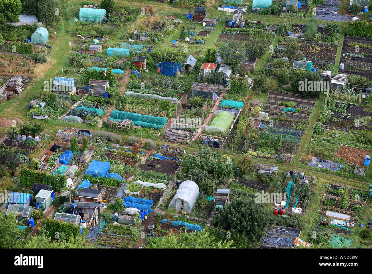 Garden allotments spotted in the urban Bristol area of the UK. Stock Photo