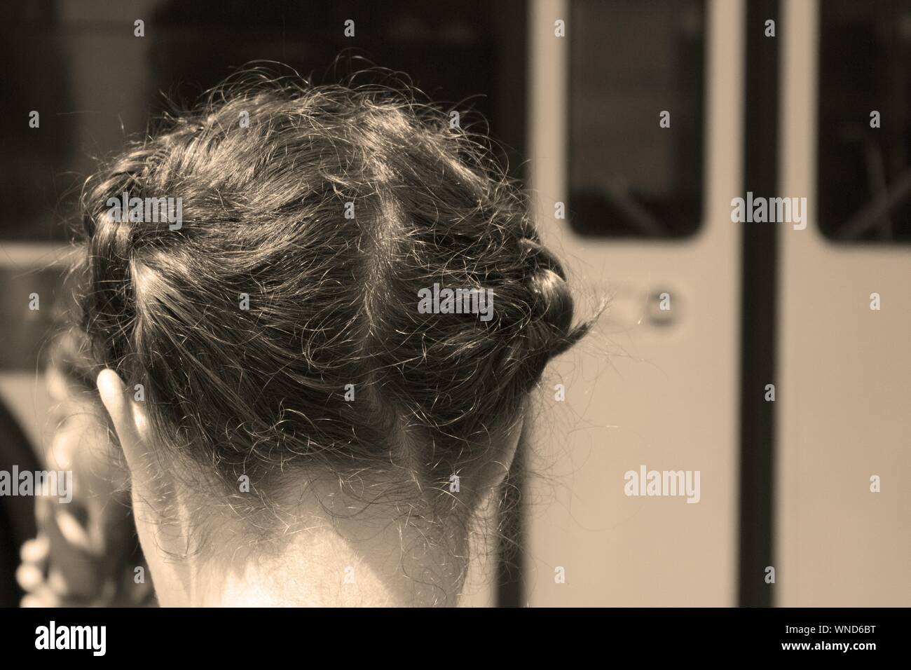Women braided hair rear view hi-res stock photography and images - Alamy