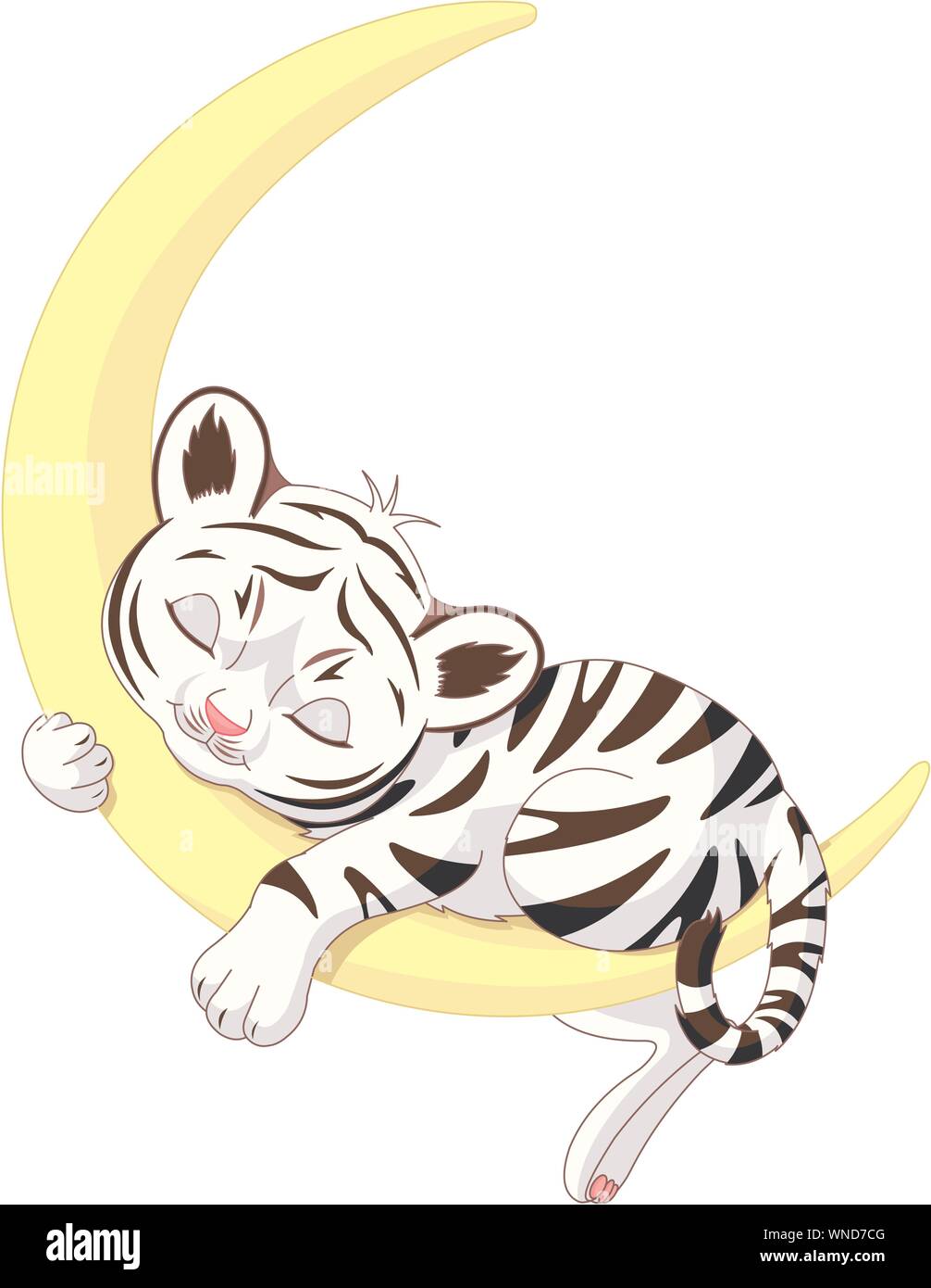 Cute white tiger cub sleeping on the moon Stock Vector Image & Art - Alamy