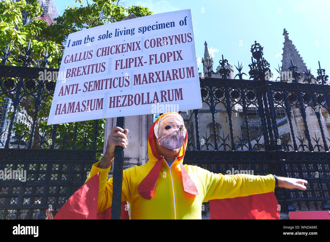 London, U.K. - September 5, 2019: A campaigner, critical of Jeremy Corbyn, is dressed as a chicken whilst protesting outside Parliament. Stock Photo