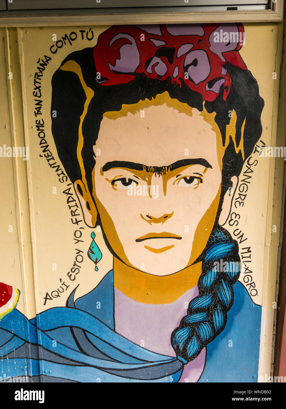 Valdivia, Chile - January 12, 2019: Graffiti in honor Frida Kahlo at the Universidad Austral de Chile in Valdivia city. The Spanish text says: 'Here I Stock Photo