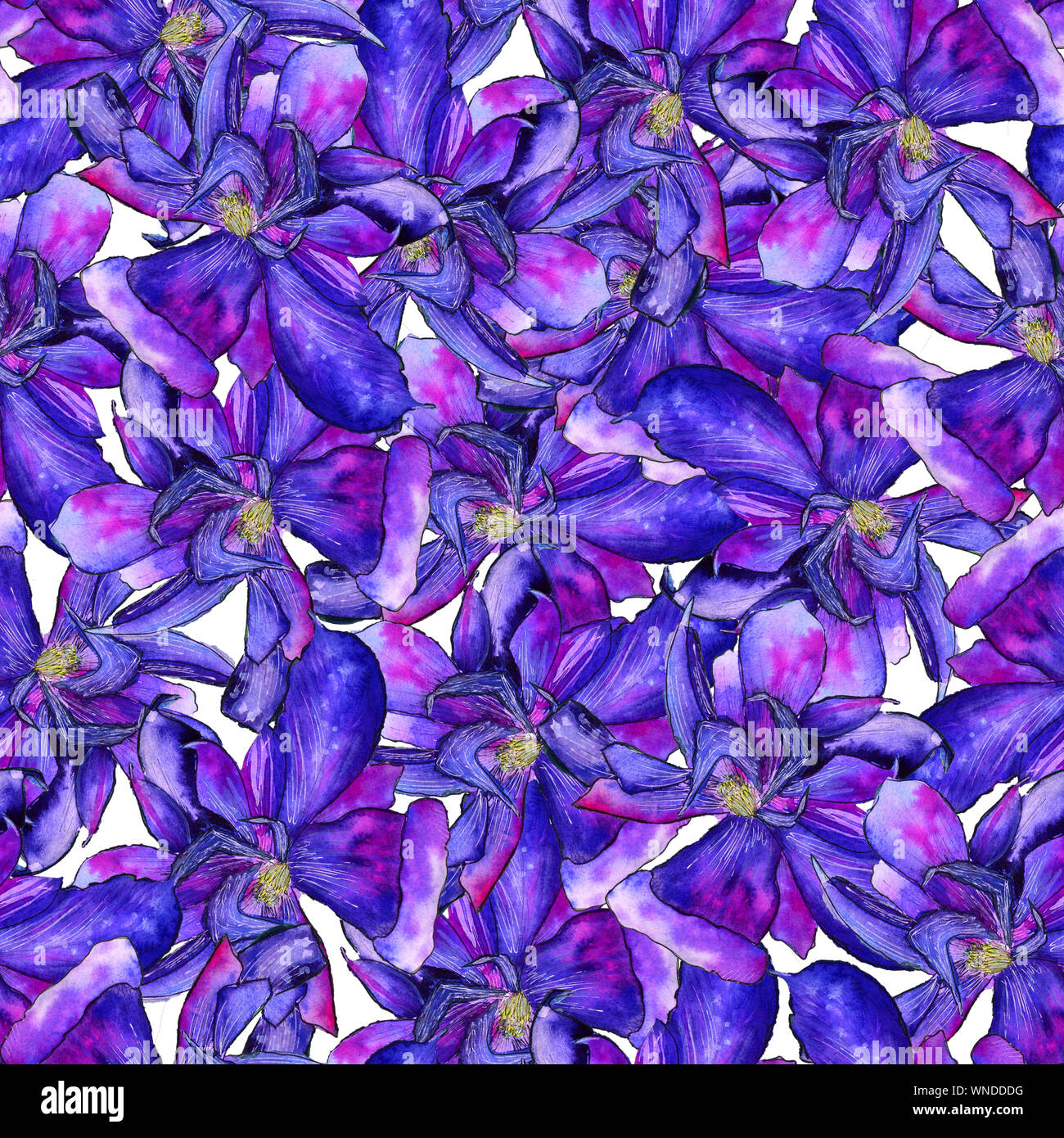 Clematis bright blue flower Seamless Pattern Stock Photo
