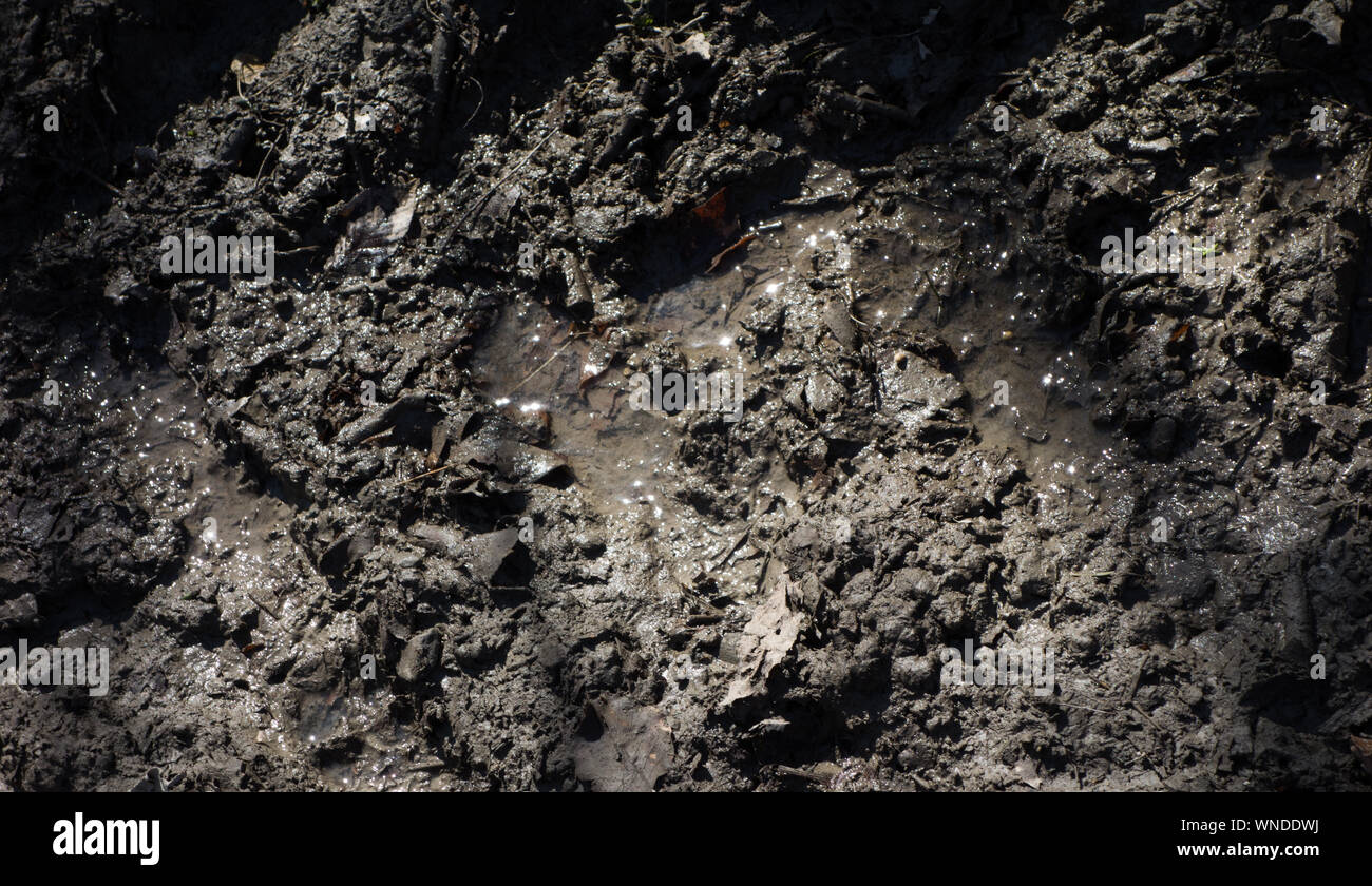 nature around us Stock Photo Alamy