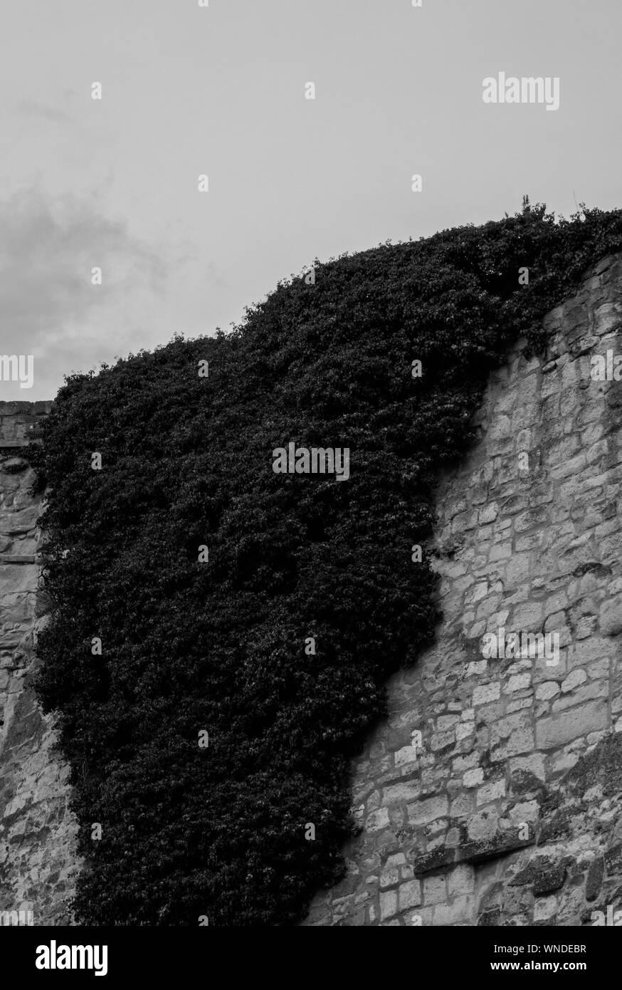 nature around us Stock Photo Alamy