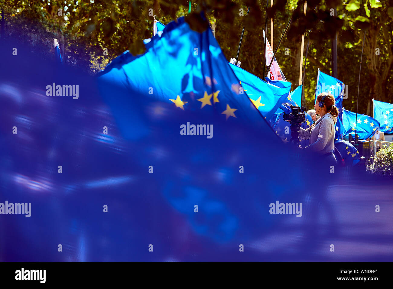 London, U.K. - September 5, 2019: A camera operator films protestors outside Parliament amongst a sea of EU flags a month before the UK is due to leave the EU. Stock Photo