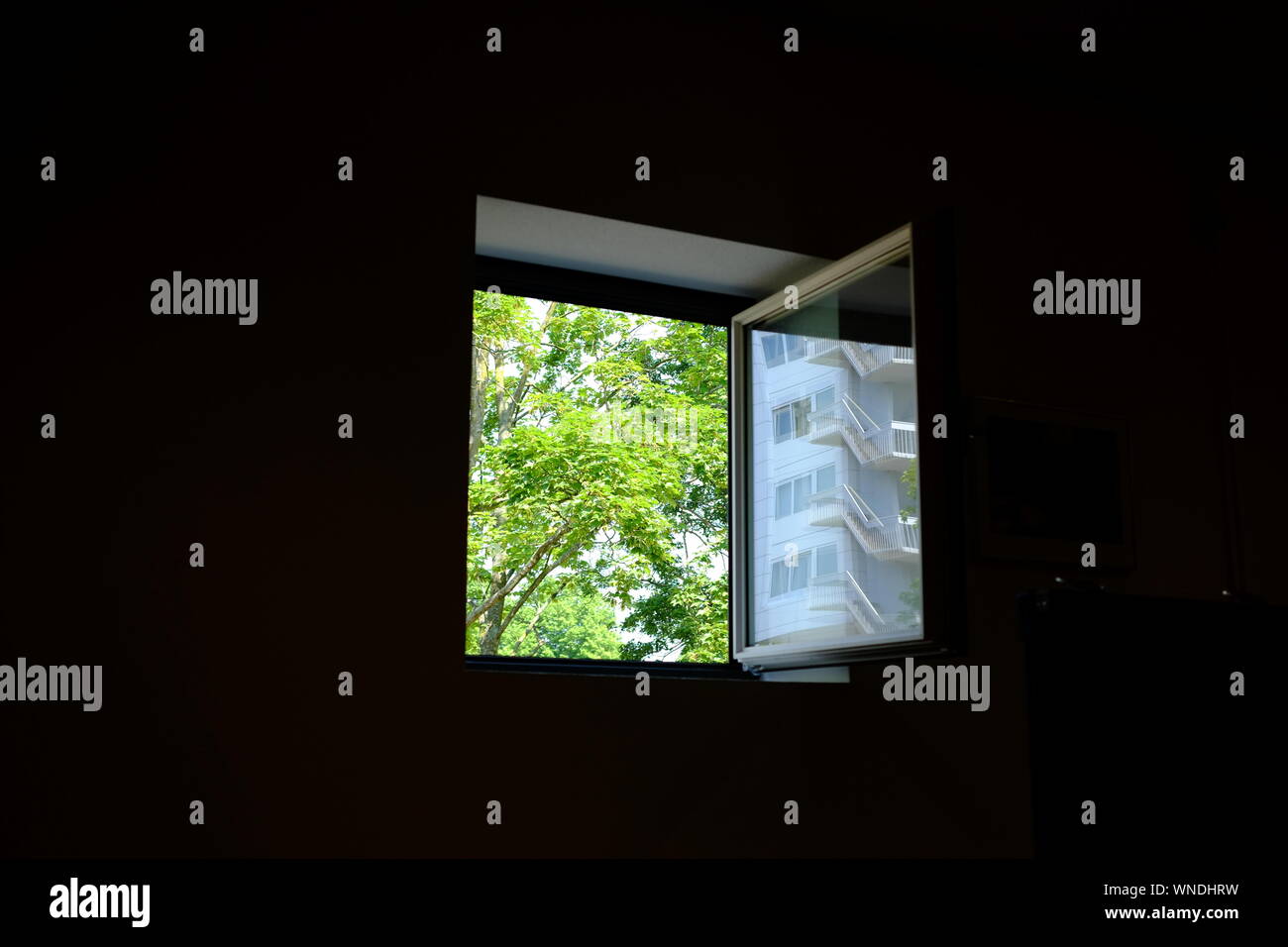 Trees Seen Through Window Of House Stock Photo