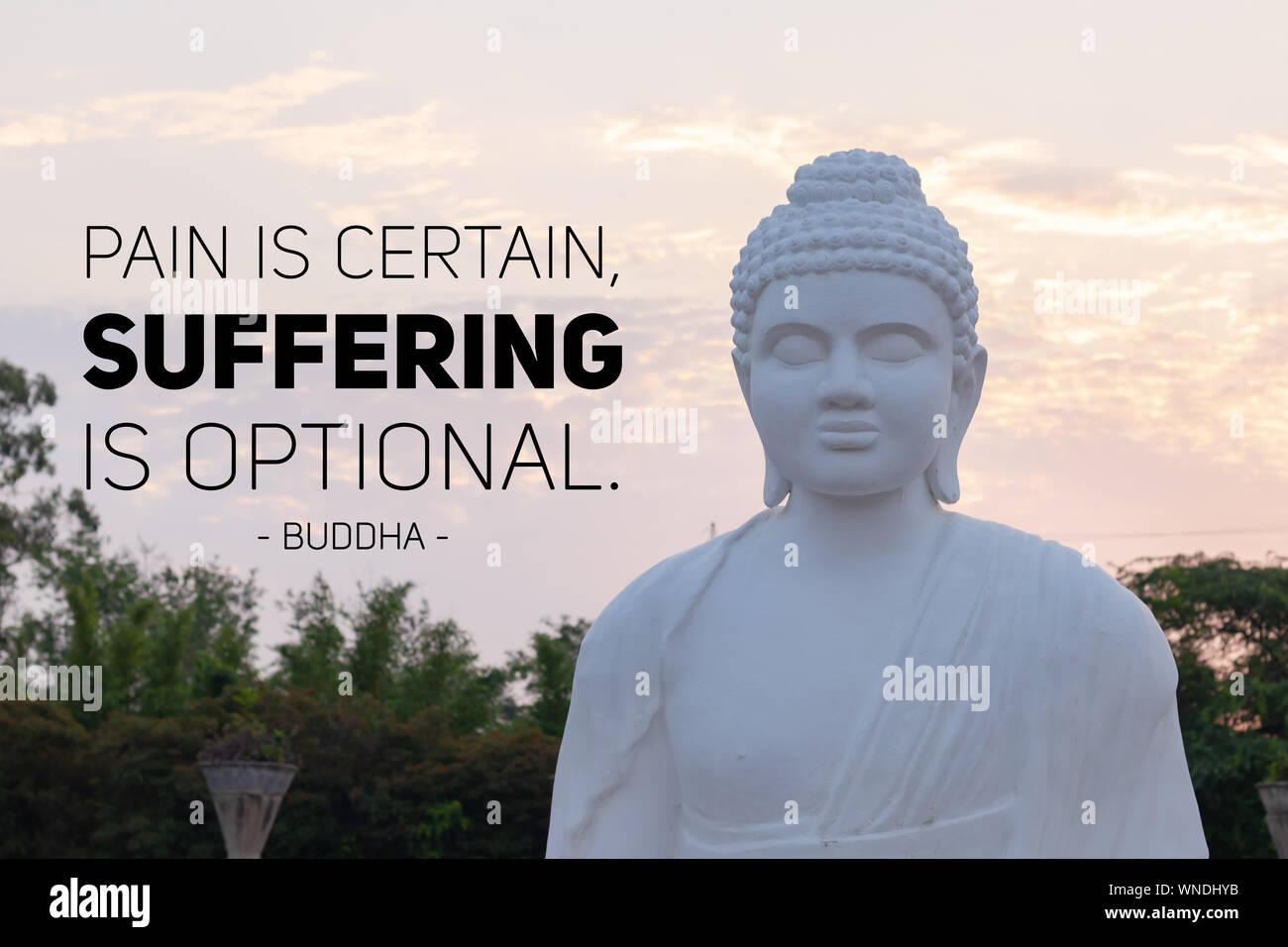 Pain is certain suffering is optional - buddha Stock Photo