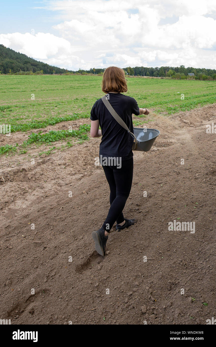 Ebenheit, Germany. 05th Sep, 2019. Luisa Koblitz scatters flower seeds on the 600-metre-long strip of flowers at the edge of a field. The Saxony-wide campaign started in the Saxon flatness near Königstein. The aim is to preserve the diversity of flowers and animals on green strips. Credit: Daniel Schäfer/dpa-Zentralbild/ZB/dpa/Alamy Live News Stock Photo