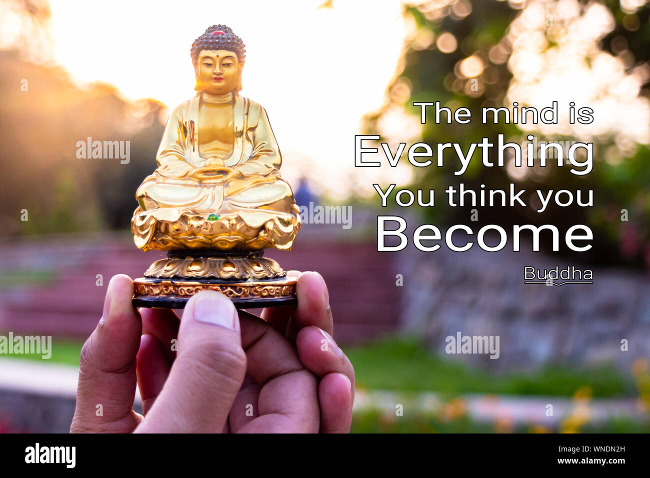the mind is everything what you think you become - buddha(1) Stock Photo