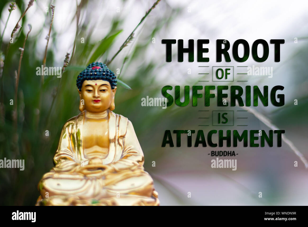 buddhist quotes on suffering