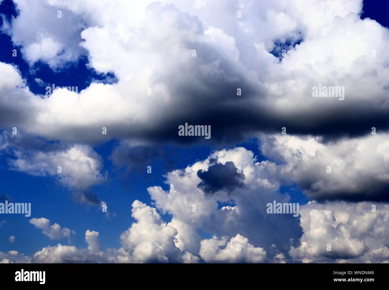 Dramatic and fluffy white clouds on a deep blue summer sky Stock Photo ...