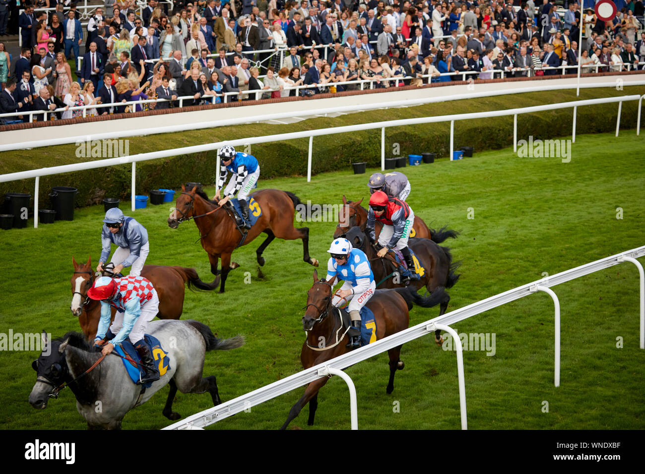 Chester Racecourse High Resolution Stock Photography And Images Alamy