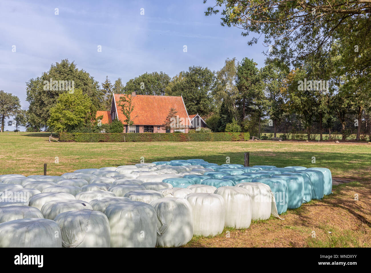 Dutch countryside region Twente with hay bales wrapped in plastic Stock Photo